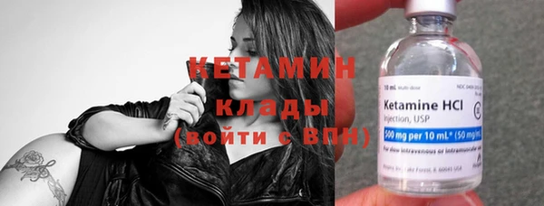 стаф Богданович