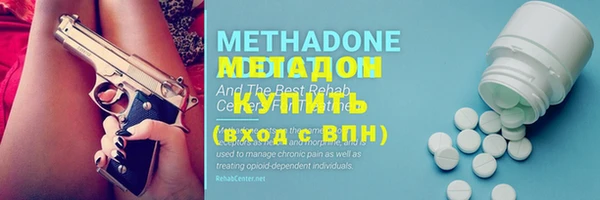 стаф Богданович