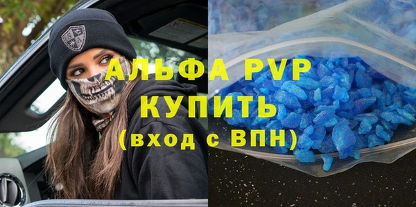 стаф Богданович