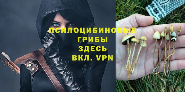 стаф Богданович