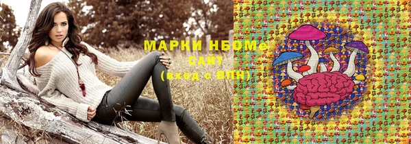 стаф Богданович