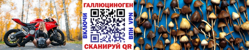 Галлюциногенные грибы ЛСД  Тихвин 